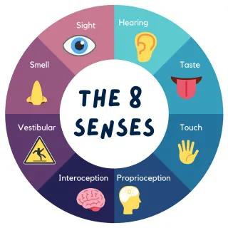 Sensory Integration
